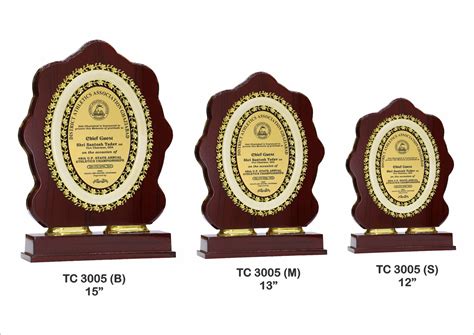 Shop for Plastic Frame Trophies in Delhi,Plastic Frame Trophy ...