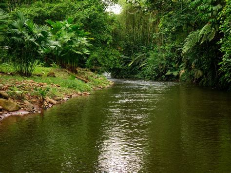 THE SHINO PI CULTURAL CENTRE (2026) All You Need to Know BEFORE You Go ...