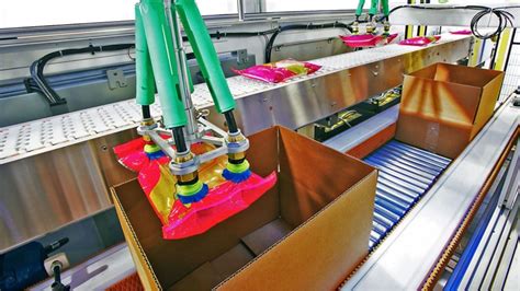 Rezultat imagine pentru Case Packer Types