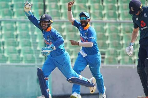 Bee attack halts cricket match between India A and England Lions, hurts ...