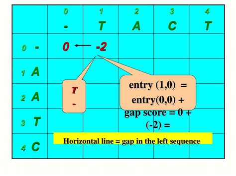 Dynamic Programming DNA Sequence Alignment 的图像结果