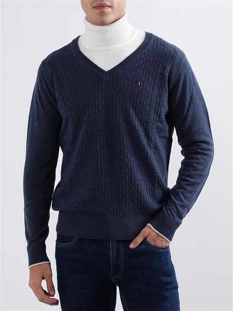 Shop Iconic Men Blue Solid V Neck Sweater Online – Iconic India