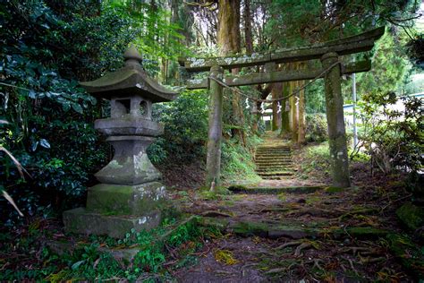 Momiyama Shrine’s Millennial Tree | Offbeat Japan