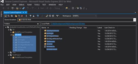 Image result for Visual Studio TFS Tutorial