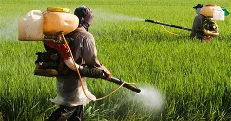 NCERT Solutions for Class 7 Science Chapter 1 - Crop Production and ...