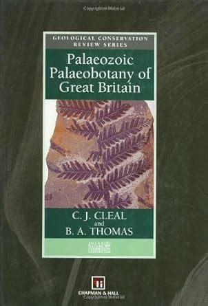 Buy Palaeozoic Palaeobotany of Great Britain (Geological Conservation ...