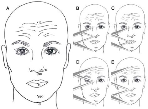 Determination of the Vertical Dimension and the Position of the ...