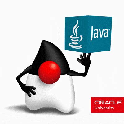 Image result for Oracle SE Java