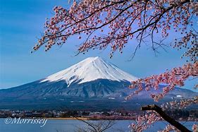 富士山 的图像结果