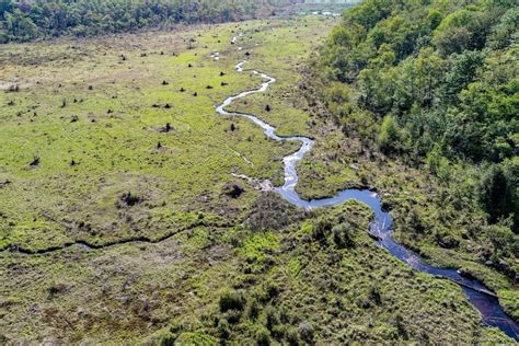 Nonprofit purchases 32K-plus acres of forest in Western Pa.
