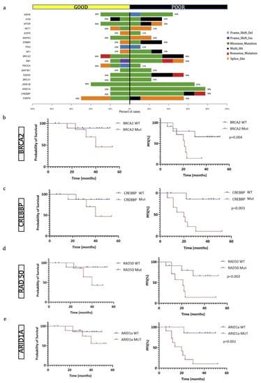 IJMS | Special Issue : Molecular Research of Osteosarcoma Pathology and ...