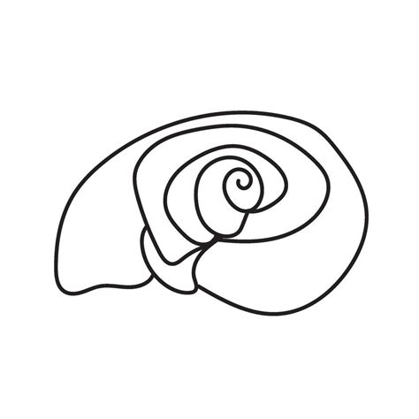 Image result for Shell Outline Printable