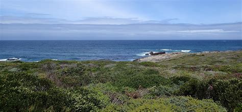 Worldbirder: Pearly Beach