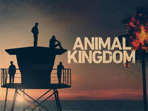 Where To Watch Animal Kingdom Season 5 at Robert Lindsay blog