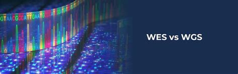 WES vs WGS: What’s the Difference?