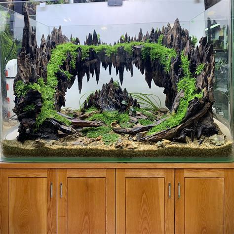 Aquascape driftwood large bonsai forest aquarium backgrounds fish tank ...