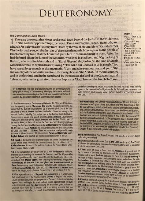 Deuteronomy - Understanding the Words of God