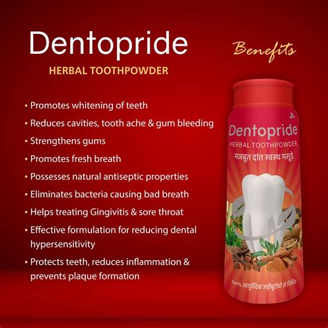 Buy DENTOPRIDE HERBAL TOOTH POWDER 100 GM | FROLIDE FREE | TOXIN FREE ...