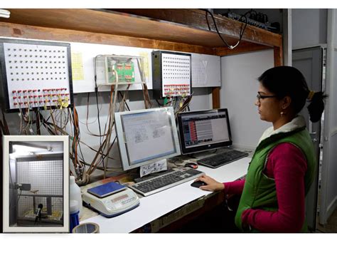 (DU) Department of zoology