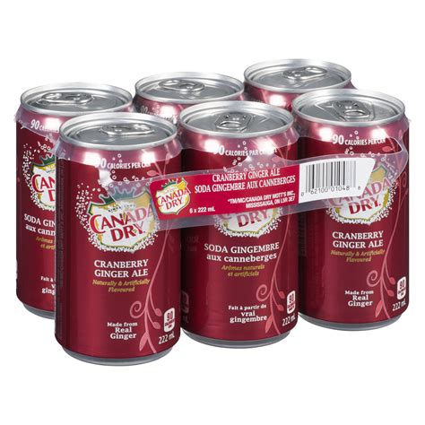 Canada Dry Cranberry Ginger Ale Soda Mini Cans at Harry Christison blog