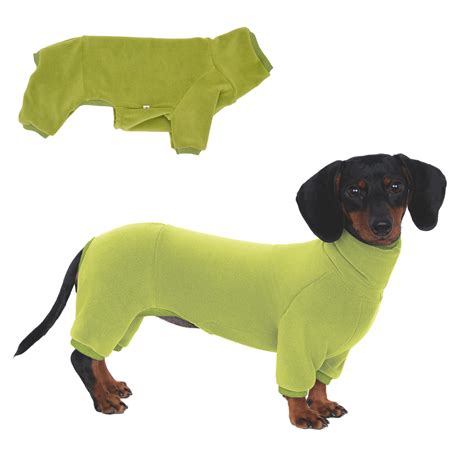 Amazon.com : WhaleMire Dachshund Dog Turtleneck Warm Sweater, Winter ...