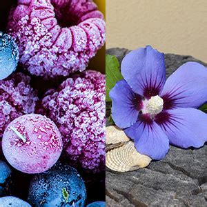 Skins Hyaluronic Acid Moisture Emulsion, Purple, 150 ml : Amazon.in: Beauty