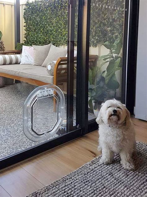 Dog Doors For Sliding Glass Doors
