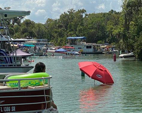 BEST Places to Visit in Welaka - UPDATED 2022 (with Photos & Reviews ...