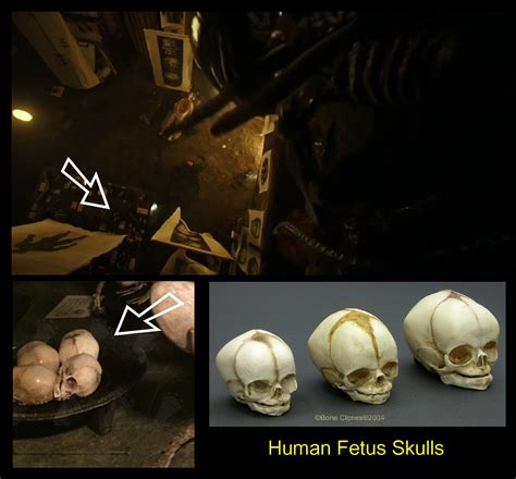 Image result for Alien Covenant Mutated Shaw