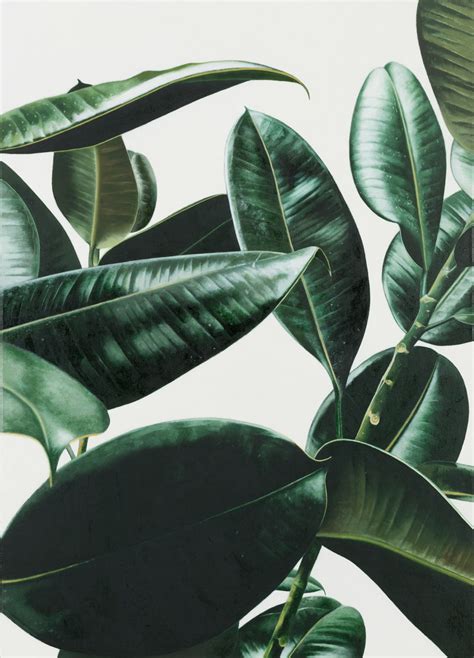 Image result for Unscripted Writing