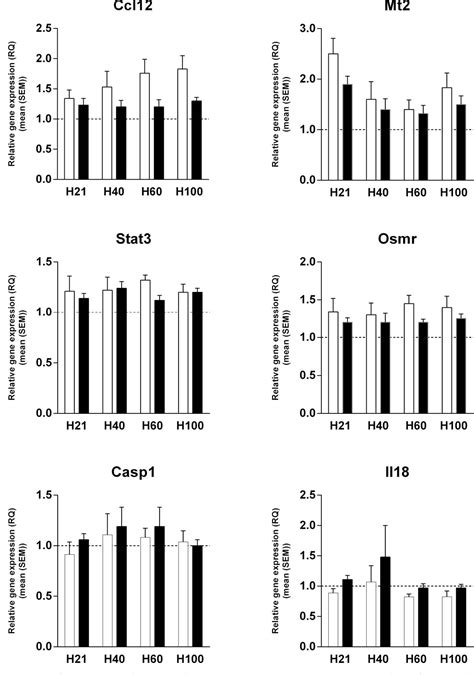 Image result for Calcium Channel Complex
