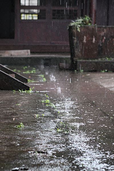 雨中打伞的路人高清图片下载-正版图片500752127-摄图网
