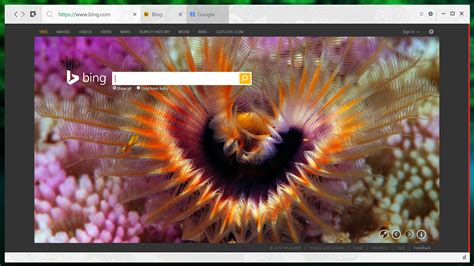 MSN Internet Explorer 的图像结果