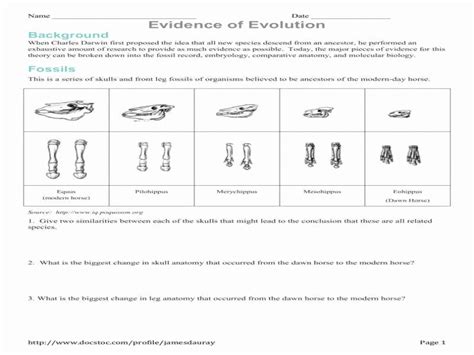 Evidence for Evolution Worksheet 的图像结果