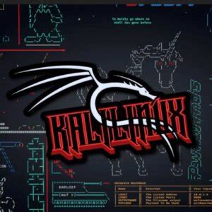 Top 19 Kali Linux Tools for Vulnerability Analysis - Tech Hyme