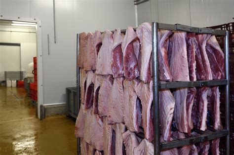 Inside the Meat Processing 的图像结果