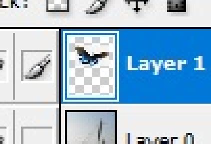 Image result for Problem Image Transparent Background