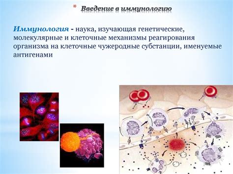 Введение в иммунологию - online presentation