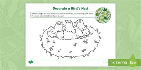Bird Nest Natural Materials Collage Activity | Twinkl