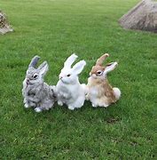 Image result for Rabbit Plush