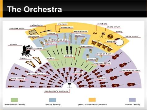 Image result for Orchestra Sections