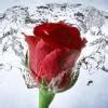 Name the moist wind that enters India in themonths of June-July due to ...