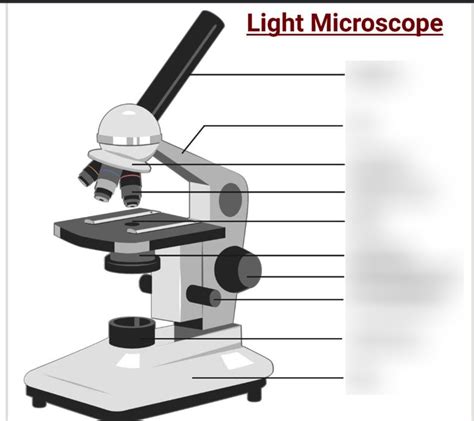 Image result for Monocular Compound Microscope