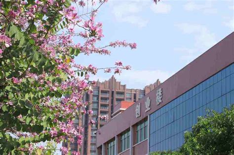 潮汕职业技术学院2023年春季高考招生章程-高考直通车