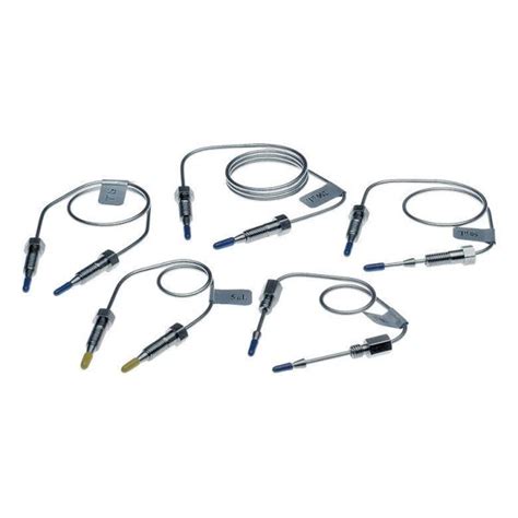 Image result for Sample Loop