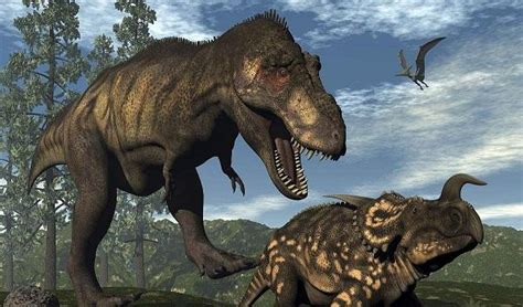 霸王龙vs暴龙vs沧龙雷克斯暴龙vs霸王龙2022已更新今日推荐