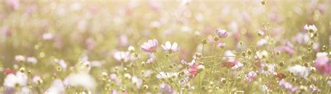 Mutter-Vater-Kind-Kuren Nordsee und Ostsee