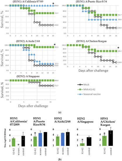 Development of a Universal Epitope-Based Influenza Vaccine and ...