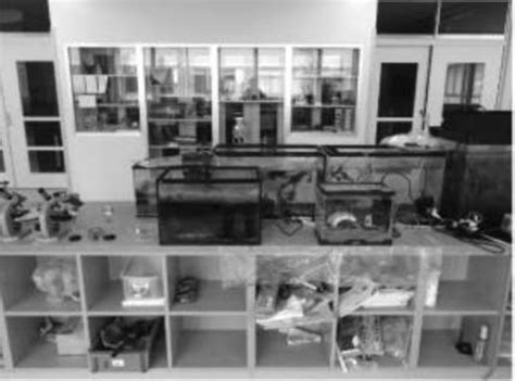 Science Corner Sign 的图像结果