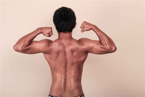 Image result for Triangle Back Bodybuilding